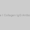 Rat Anti-Chick Type I Collagen IgG Antibody Assay Kit, TMB